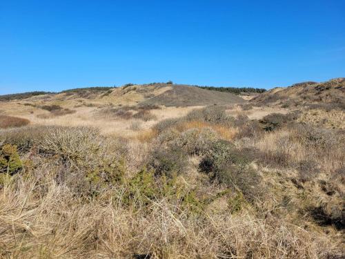 Eine Wiese mit trockenem Gras, im Hintergrund Hügel. in der Unterkunft 6 person holiday home in Hirtshals-By Traum in Hirtshals
