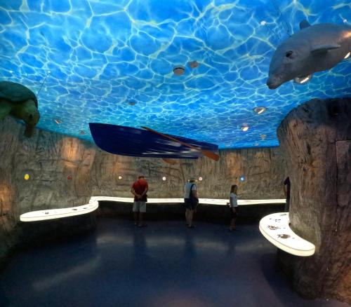 a group of people standing in front of a large aquarium at Apartment Pelicaric Sali Dugi otok in Sali