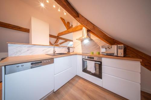 Kuchyň nebo kuchyňský kout v ubytování Super Appartement Near Basel 8 4 personnes