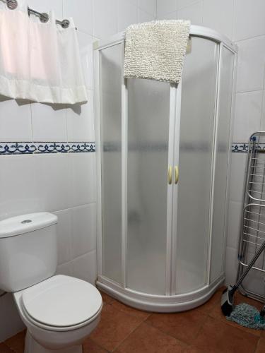 a bathroom with a shower and a toilet at Nature in Tejeda in Tejeda