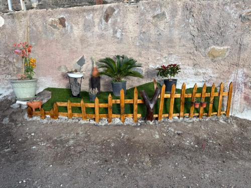 Zahrada ubytování Nature in Tejeda