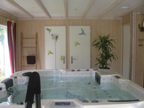 bañera con aves volando en una habitación en Camping 4 étoiles - Piscine - ccb0bif, en Apremont