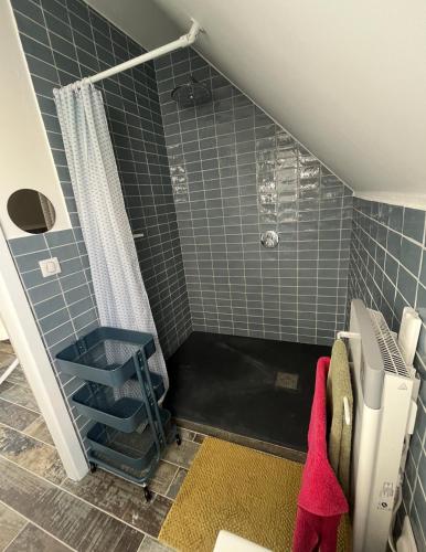 a small bathroom with a shower with blue tiles at Duplex City Hag in Haguenau