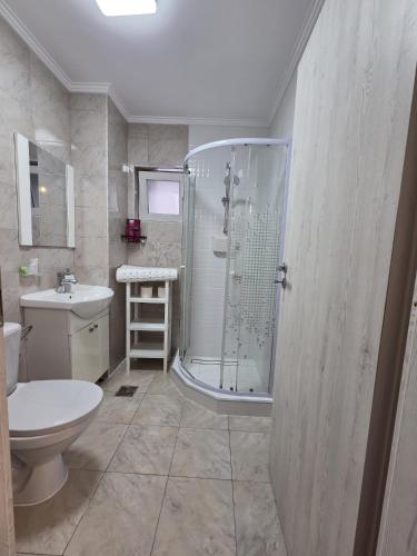 a bathroom with a shower and a toilet and a sink at Studio O&A in Cristian