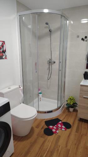a bathroom with a shower with a toilet and a sink at Mouse House in Novelda