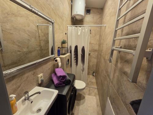 Ένα μπάνιο στο Jaukus butas Panemunėje su vaizdu į Nemuną