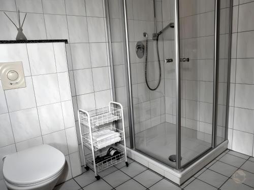 a bathroom with a shower and a toilet at Scharbachhof in Glottertal