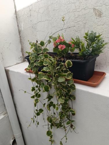 Gallery image of Kaedo PA in Corrientes