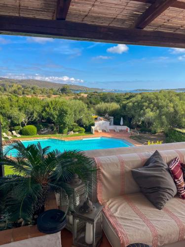 奥尔比亚Romantic Suite Apt 21的带沙发和游泳池的客厅