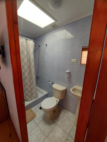 a bathroom with a toilet and a shower and a sink at Hostal aleja in Caldera