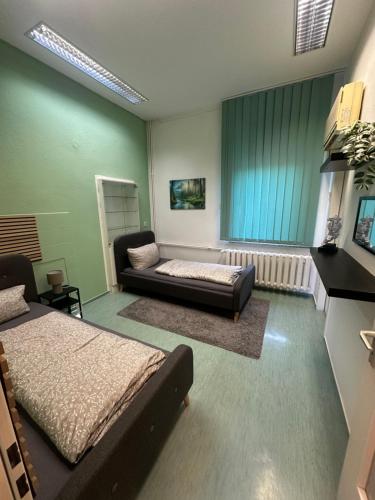 ein Wohnzimmer mit zwei Betten und einer Couch in der Unterkunft Große Ferienwohnung für bis zu 8 Personen mit 2 Badezimmern in Merseburg