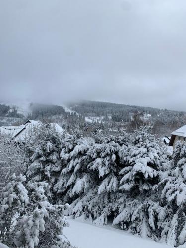 Το Harzgeist τον χειμώνα