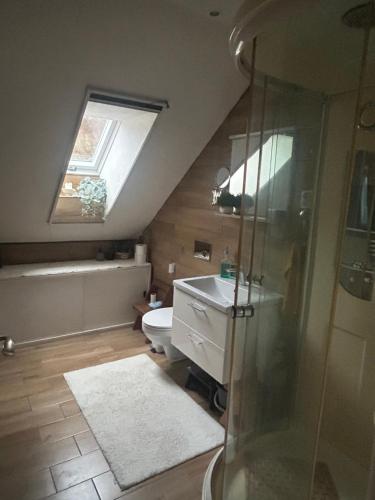 Ένα μπάνιο στο U tří koček