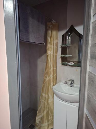 a bathroom with a shower curtain and a sink at 13 Hostel in Stryi