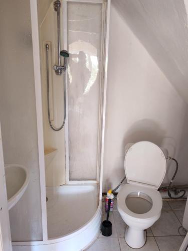 a bathroom with a shower with a toilet and a sink at Chalupa Vyšní Lhoty in Vyšní Lhoty
