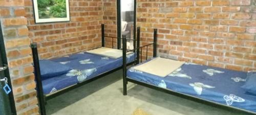 Ce lit se trouve dans un dortoir doté de 2 lits superposés et d'un mur en briques. dans l'établissement Rareheart Guesthouse, à Kuala Terengganu