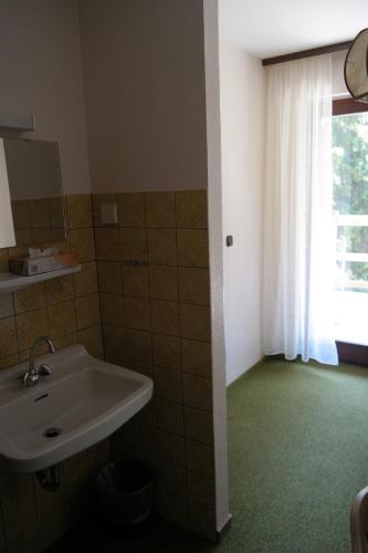 a bathroom with a sink and a window at Herzog's Ulsterbrücke in Tann