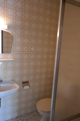 a bathroom with a toilet and a sink at Herzog's Ulsterbrücke in Tann