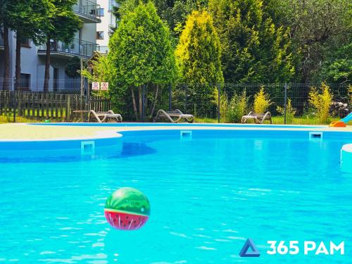 a ball in the water in a swimming pool at 365PAM - Studio C35 Dominikana in Sianozety