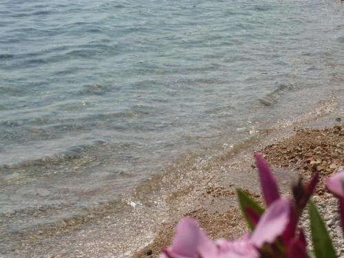 Gemütliche Ferienwohnung Für Drei Personen