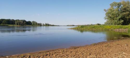 Blick auf den Fluss vom Ufer aus in der Unterkunft Ganze Wohnung in Jameln mit Garten, Grill und Terrasse - b57780 in Jameln