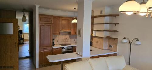 Kuchyň nebo kuchyňský kout v ubytování Sun&Sport Beskidzki Horyzont