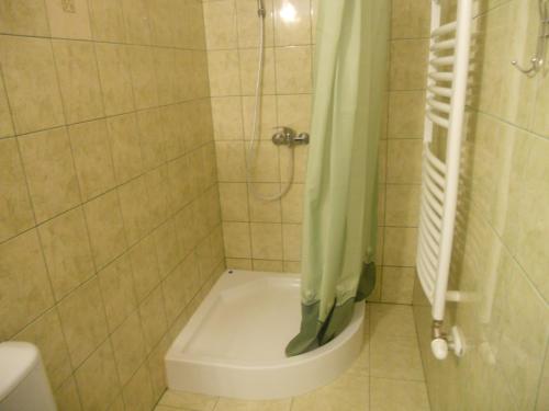 Ванная комната в Dwór w Boleniu