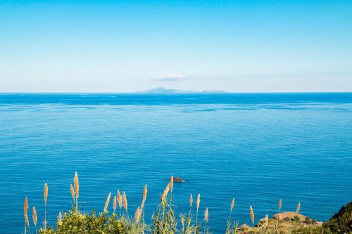 Příroda nedaleko prázdninového domu
