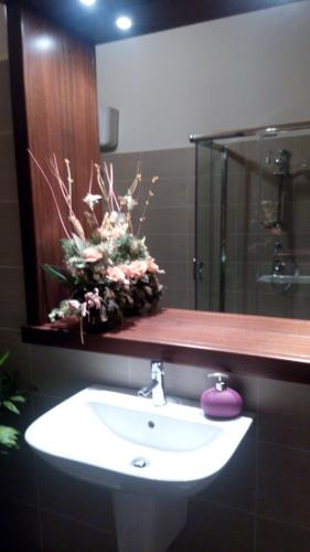 a bathroom with a sink and a glass shower at Affittacamere Carpe Diem in Gonnosfanàdiga