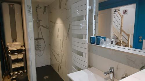 une salle de bains avec douche, lavabo et miroir dans l'établissement Le Pigeonnier De La Villa Lamoure, à Villaudric