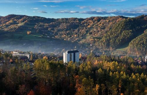 Γενική θέα στο βουνό ή θέα στο βουνό από  αυτό το ξενοδοχείο