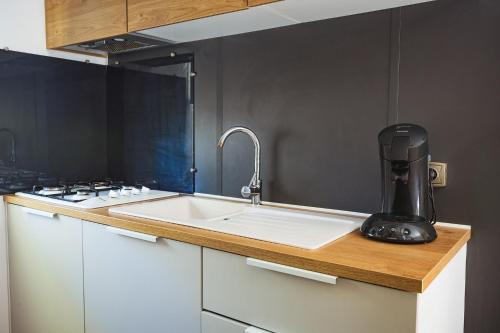 una cocina con fregadero y una batidora en una encimera en Nova Lodges, en Grimaud