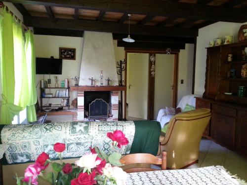 un salon avec un canapé et une cheminée dans l'établissement Gîte de la Fontaine, à Saint-Antoine