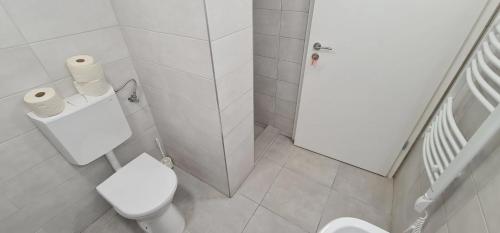 a white bathroom with a toilet and a shower at Vándor Szálló in Kecskemét