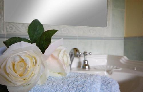 - une rose blanche assise au-dessus d'un lavabo dans l'établissement Casa Verde, à San Michele in Teverina