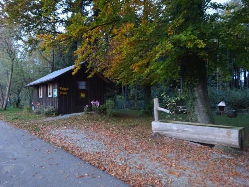a wooden bench sitting in front of a tree at Rehalp Westen in Bischofszell