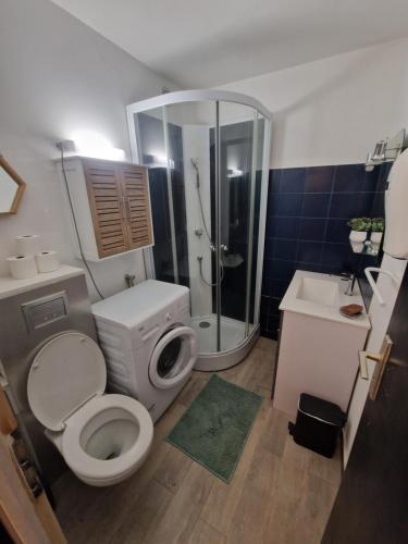 Un baño con inodoro, ducha y lavabo. en Charmant studio, en Saint-Gervais-les-Bains