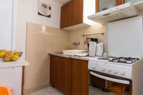 a small kitchen with a stove and a sink at Fewo Superior in Grebaštica