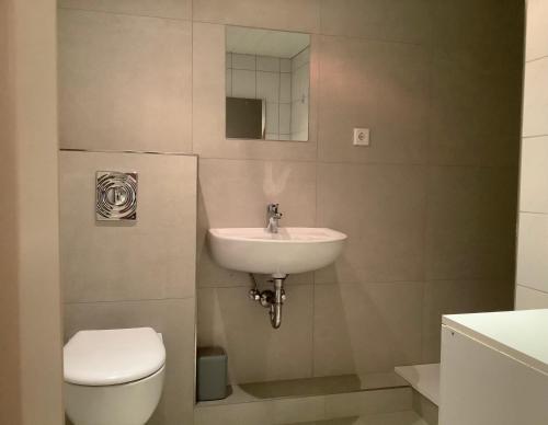 ein Badezimmer mit Waschbecken und Toilette in der Unterkunft Appartements Haus Hashagen in Oerlinghausen