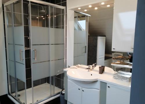 une salle de bain avec lavabo et douche dans l'établissement Chambre D'hôtes Les Jonquilles -, à Froberville