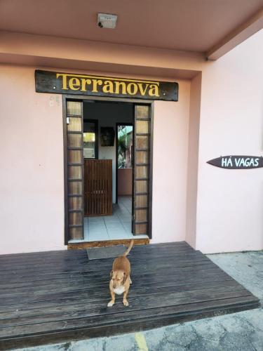 a small dog standing in front of a building at Pousada Terranova in Garopaba