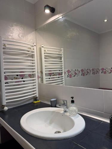 a bathroom with a white sink and a mirror at Veronika Apartments in Berehove