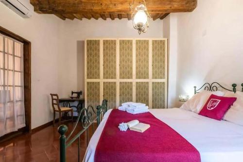 比萨Eulalia's Attic - Affitti Brevi Italia的卧室里有一张大床，上面铺着红毯子