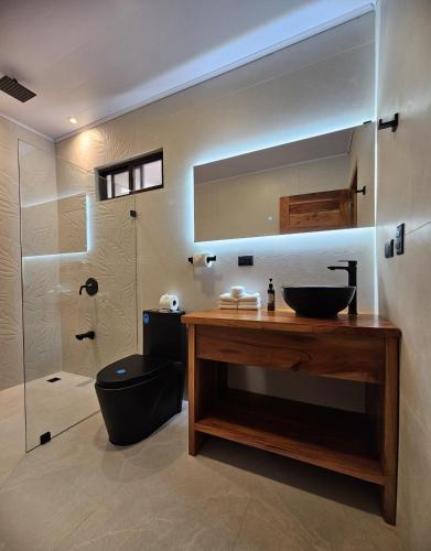 a bathroom with a sink and a toilet and a shower at Calathea Hotel Monteverde in Monteverde Costa Rica