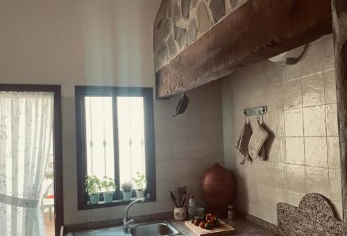 una cucina con un lavandino e una finestra di Apartamentos El Paso a Pedrera