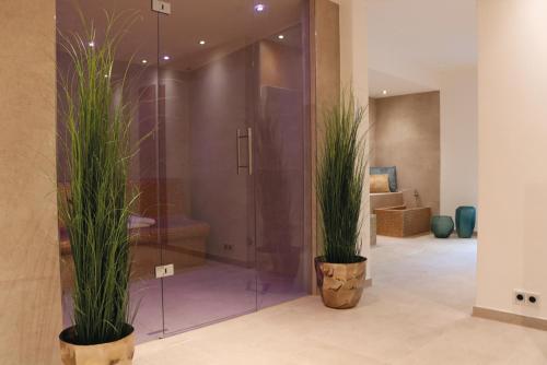 baño con ducha de cristal con 2 macetas en salinenparc Design Budget Hotel, en Erwitte