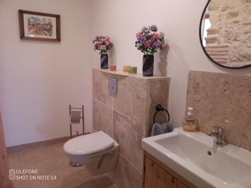 une salle de bain avec toilettes, lavabo et miroir dans l'établissement Gîte Braunis 4 étoiles, à Bourran