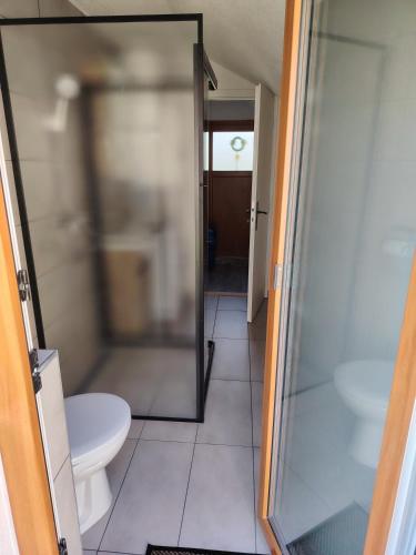 a bathroom with a glass shower and a toilet at Tichá chalupa in Liptovský Hrádok