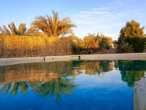Gallery image of El Dorado Camp in Siwa