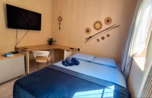 a bedroom with a bed and a desk and a television at TRIBUS Hospedagem e Terapias in Alter do Chao